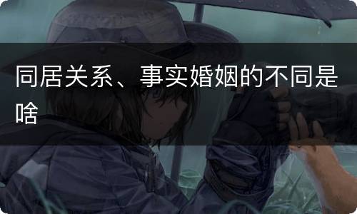 同居关系、事实婚姻的不同是啥