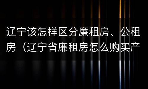 辽宁该怎样区分廉租房、公租房（辽宁省廉租房怎么购买产权）