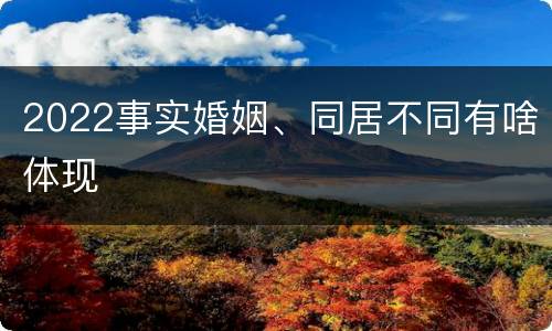 2022事实婚姻、同居不同有啥体现