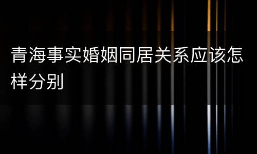 青海事实婚姻同居关系应该怎样分别