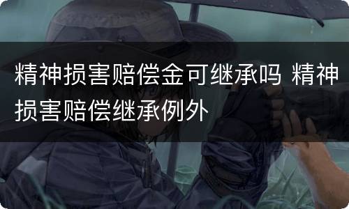 精神损害赔偿金可继承吗 精神损害赔偿继承例外