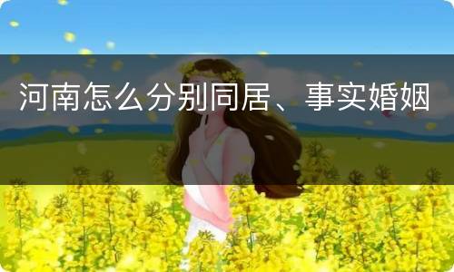河南怎么分别同居、事实婚姻