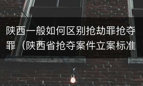 陕西一般如何区别抢劫罪抢夺罪（陕西省抢夺案件立案标准）