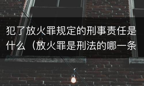 犯了放火罪规定的刑事责任是什么（放火罪是刑法的哪一条）
