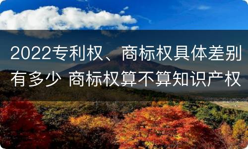 2022专利权、商标权具体差别有多少 商标权算不算知识产权
