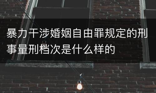 暴力干涉婚姻自由罪规定的刑事量刑档次是什么样的