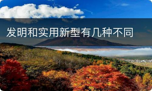 发明和实用新型有几种不同