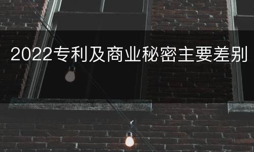 2022专利及商业秘密主要差别