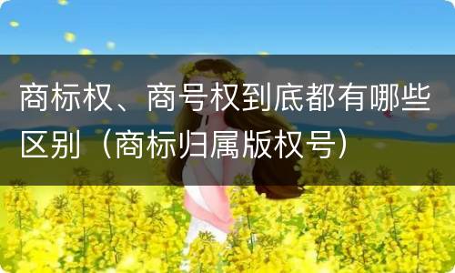 商标权、商号权到底都有哪些区别（商标归属版权号）