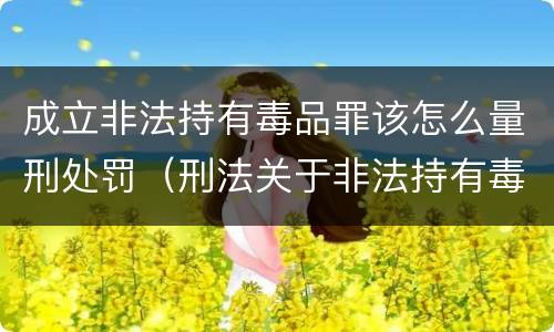 成立非法持有毒品罪该怎么量刑处罚（刑法关于非法持有毒品罪的规定）