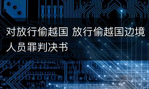 对放行偷越国 放行偷越国边境人员罪判决书