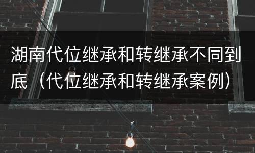 湖南代位继承和转继承不同到底（代位继承和转继承案例）