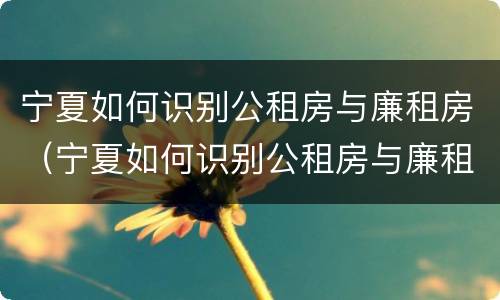 宁夏如何识别公租房与廉租房（宁夏如何识别公租房与廉租房的区别）