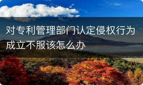 对专利管理部门认定侵权行为成立不服该怎么办