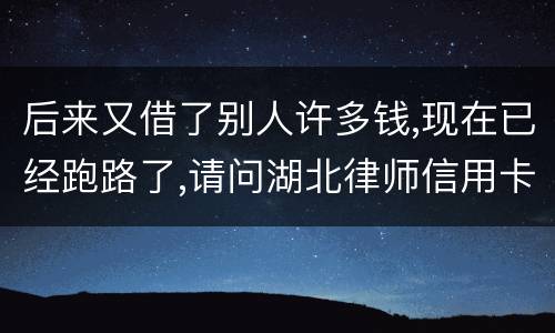 后来又借了别人许多钱,现在已经跑路了,请问湖北律师信用卡借钱不还会怎样呢