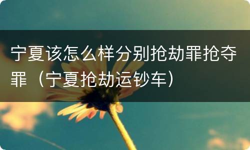 宁夏该怎么样分别抢劫罪抢夺罪（宁夏抢劫运钞车）