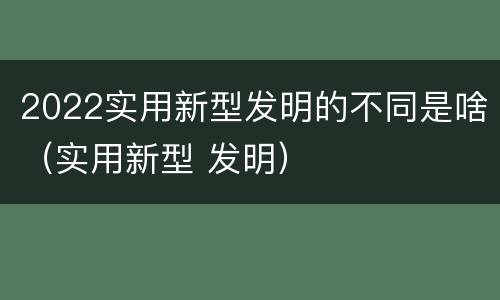 2022实用新型发明的不同是啥（实用新型 发明）