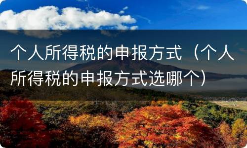 个人所得税的申报方式（个人所得税的申报方式选哪个）