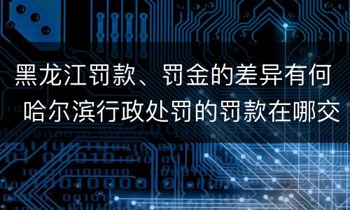 黑龙江罚款、罚金的差异有何 哈尔滨行政处罚的罚款在哪交