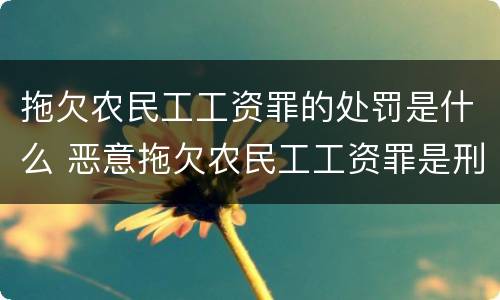 拖欠农民工工资罪的处罚是什么 恶意拖欠农民工工资罪是刑法哪一条