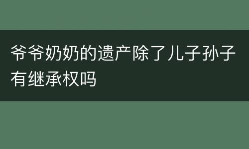 爷爷奶奶的遗产除了儿子孙子有继承权吗