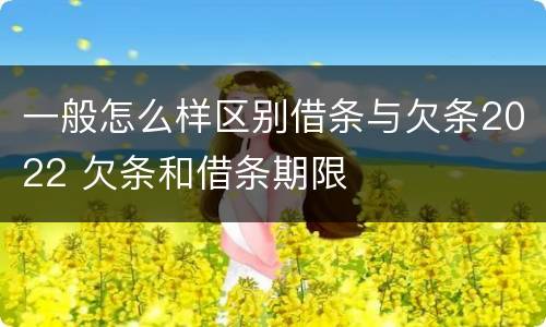 一般怎么样区别借条与欠条2022 欠条和借条期限
