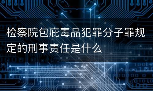 检察院包庇毒品犯罪分子罪规定的刑事责任是什么