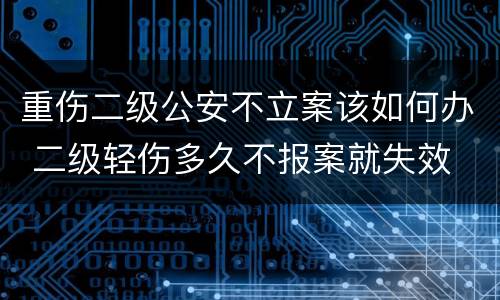 重伤二级公安不立案该如何办 二级轻伤多久不报案就失效