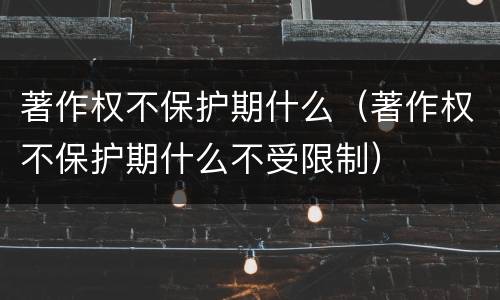 著作权不保护期什么（著作权不保护期什么不受限制）