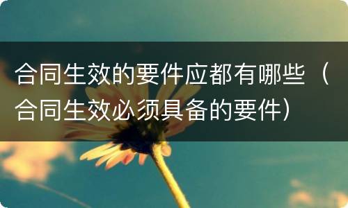 合同生效的要件应都有哪些（合同生效必须具备的要件）