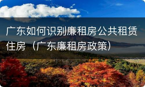 广东如何识别廉租房公共租赁住房（广东廉租房政策）