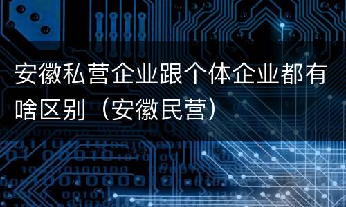 安徽私营企业跟个体企业都有啥区别（安徽民营）