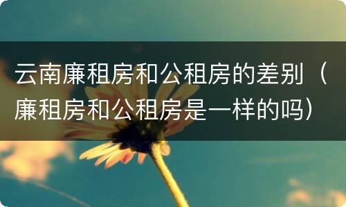 云南廉租房和公租房的差别（廉租房和公租房是一样的吗）