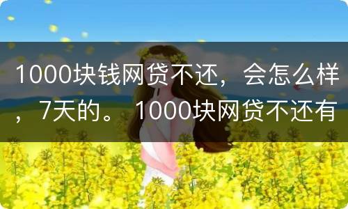 1000块钱网贷不还，会怎么样，7天的。 1000块网贷不还有什么后果