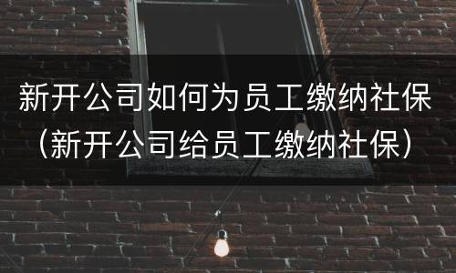 新开公司如何为员工缴纳社保（新开公司给员工缴纳社保）