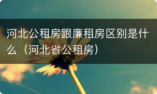 河北公租房跟廉租房区别是什么（河北省公租房）