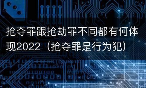 抢夺罪跟抢劫罪不同都有何体现2022（抢夺罪是行为犯）