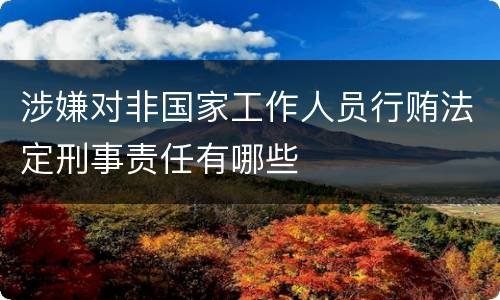 涉嫌对非国家工作人员行贿法定刑事责任有哪些
