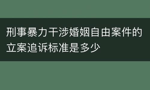 刑事暴力干涉婚姻自由案件的立案追诉标准是多少