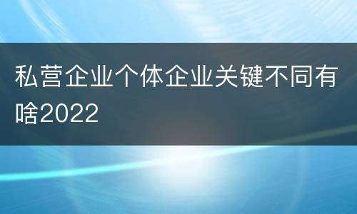 私营企业个体企业关键不同有啥2022