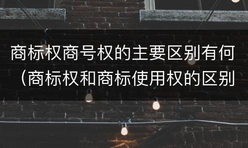 商标权商号权的主要区别有何（商标权和商标使用权的区别）