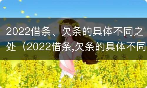 2022借条、欠条的具体不同之处（2022借条,欠条的具体不同之处怎么写）