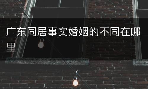 广东同居事实婚姻的不同在哪里