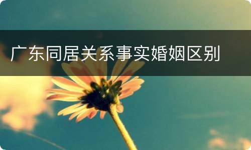 广东同居关系事实婚姻区别
