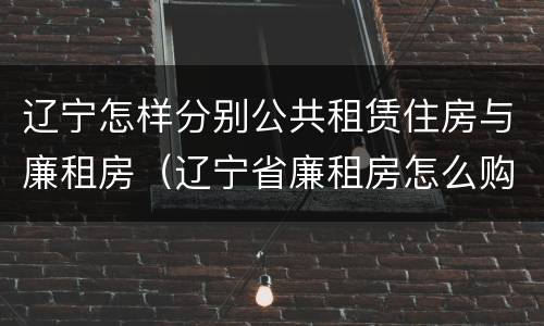 辽宁怎样分别公共租赁住房与廉租房（辽宁省廉租房怎么购买产权）