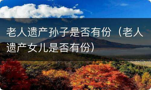 老人遗产孙子是否有份（老人遗产女儿是否有份）