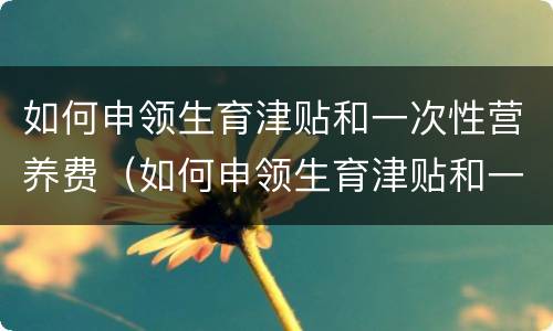 如何申领生育津贴和一次性营养费（如何申领生育津贴和一次性营养费呢）
