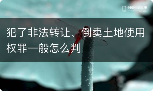 犯了非法转让、倒卖土地使用权罪一般怎么判