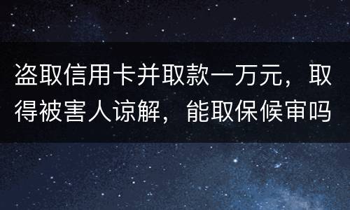 盗取信用卡并取款一万元，取得被害人谅解，能取保候审吗