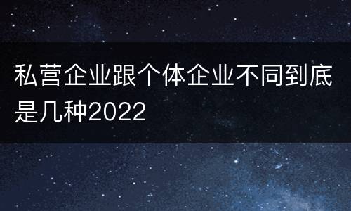 私营企业跟个体企业不同到底是几种2022